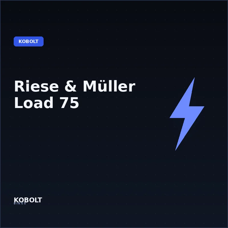 Riese & Müller Load 75 – Elcykler